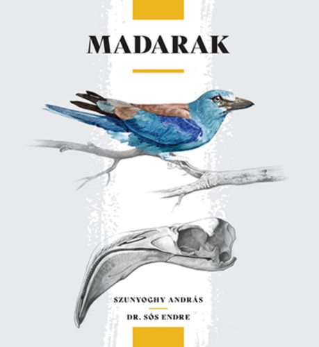 Madarak - Dr. Sós Endre