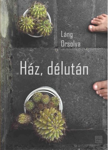 Ház, délután - Láng Orsolya