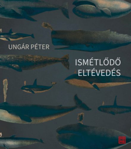 Ismétlődő eltévedés - Ungár Péter