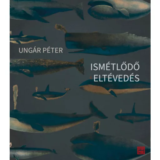 Ismétlődő eltévedés - Ungár Péter