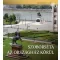 Szoborséta az Országház körül - Csorba György
