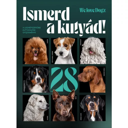 Ismerd a kutyád!