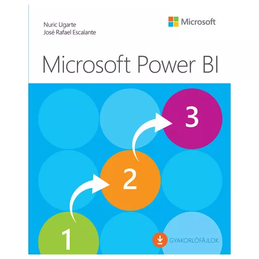 Microsoft Power BI - Nuric Ugarte, José Rafael Escalante
