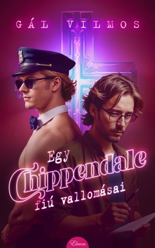 Egy Chippendale-fiú vallomásai - Gál Vilmos