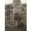Zarathustra, Istennek vésője - Fükő Béla