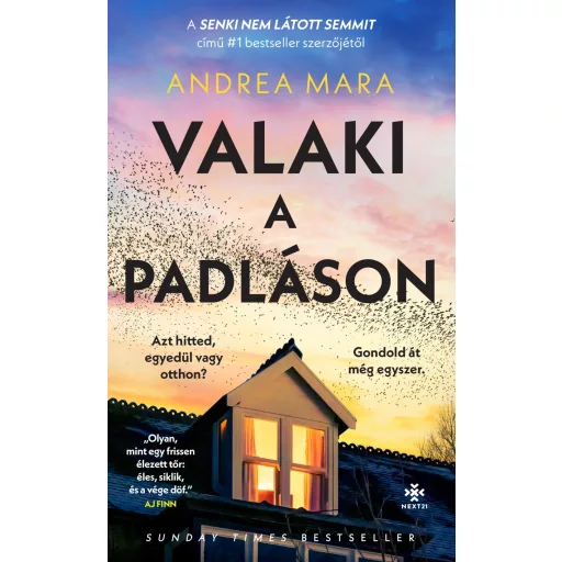 Valaki a padláson - Andrea Mara
