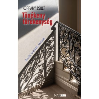   Tünékeny törékenység - Esszék, kritikák, tárlatok - Koppány Zsolt