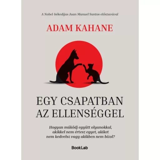 Egy csapatban az ellenséggel - Adam Kahane
