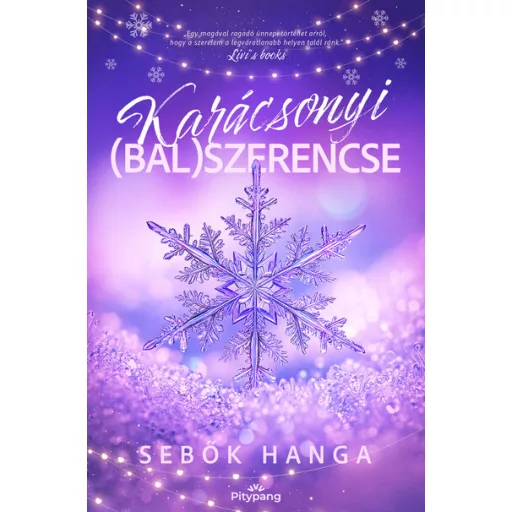Karácsonyi (bal)szerencse - Sebők Hanga