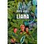 Liana - Berg Judit