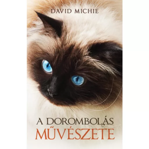 A dorombolás művészete - David Michie