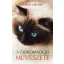 A dorombolás művészete - David Michie