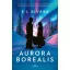 Aurora Borealis - E. I. Rivers