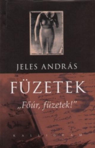 Füzetek - Főúr, füzetek! - Jeles András