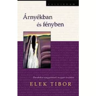   Árnyékban és fényben - Darabokra szaggatott magyar irodalom - Elek Tibor