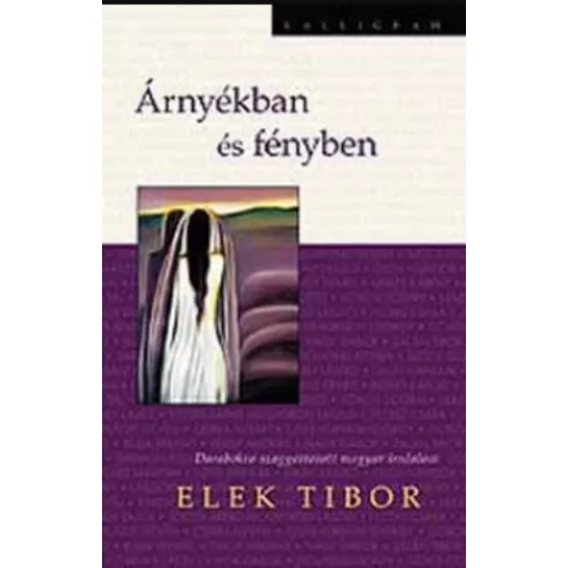 Árnyékban és fényben - Darabokra szaggatott magyar irodalom - Elek Tibor