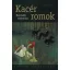 Kacér romok