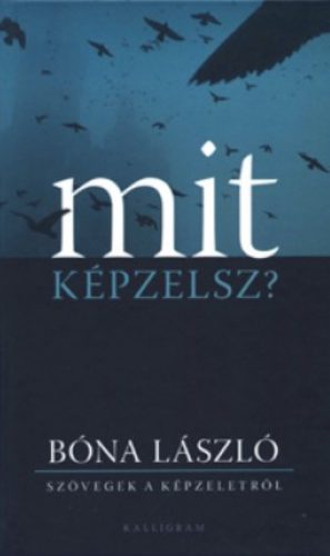 Mit képzelsz? - Bóna László