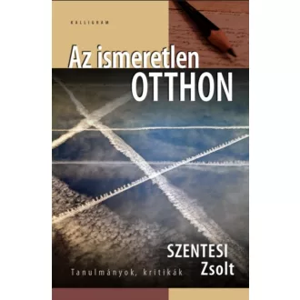 Az ismeretlen otthon - Szentesi Zsolt