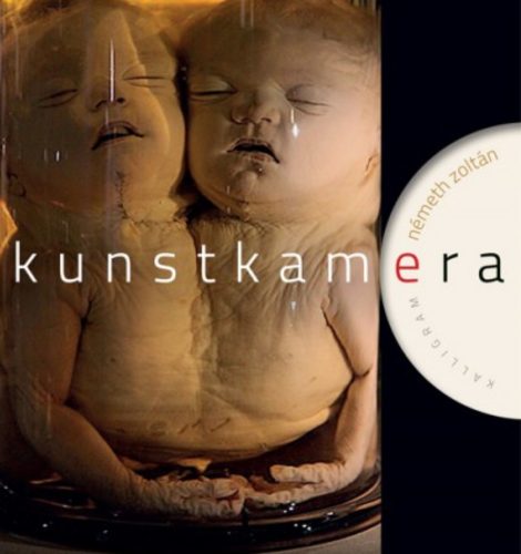 Kunstkamera - Németh Zoltán