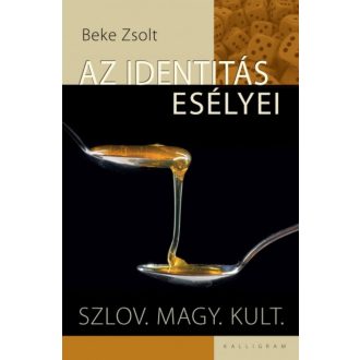 AZ IDENTITÁS ESÉLYEI