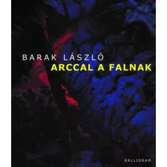 Arccal a falnak - Barak László