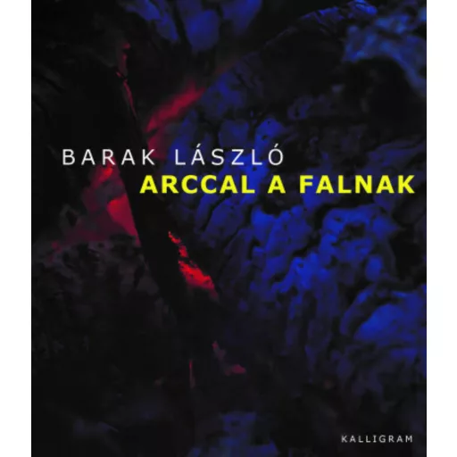 Arccal a falnak - Barak László