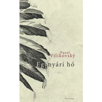 Egynyári hó - Pavel Vilikovsky