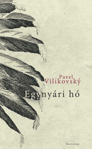 Egynyári hó - Pavel Vilikovsky
