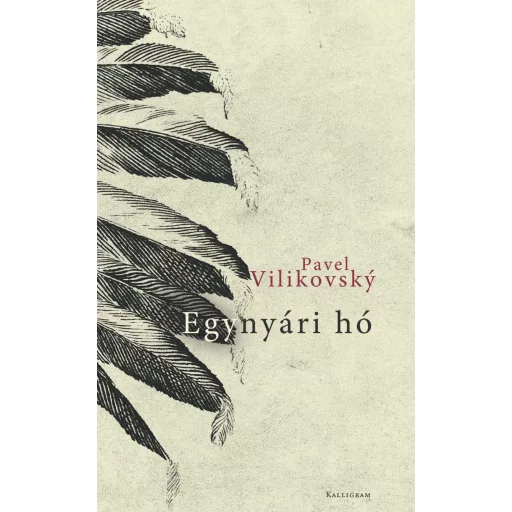 Egynyári hó - Pavel Vilikovsky