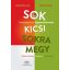 Sok kicsi sokra megy (német) - Gyakorlókönyv magyarul tanulóknak - Übungsbuch für Ungarischlern