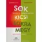 Sok kicsi sokra megy (angol) - Gyakorlókönyv magyarul tanulóknak - Workbook for Hungarian Learn