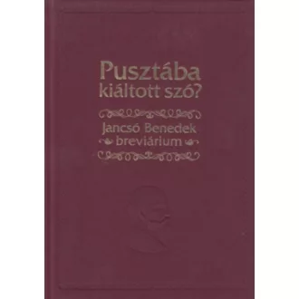 Pusztába kiáltott szó? - Jancsó Benedek