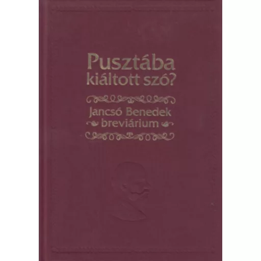 Pusztába kiáltott szó? - Jancsó Benedek