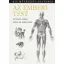 Az emberi test /Kis művészeti anatómia (Dr. Fehér György)