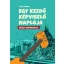 Egy kezdő képviselő naplója - közéleti rémtörténetek (Sallai R. Benedek)