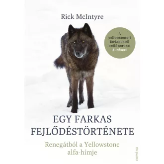 Egy farkas fejlődéstörténete - Rick McIntyre