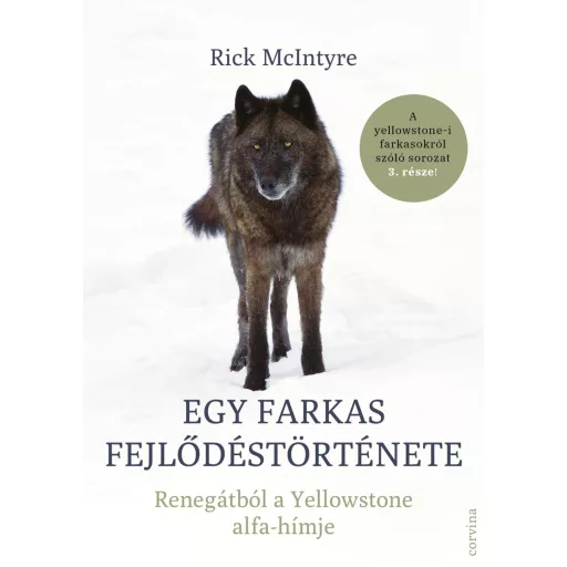 Egy farkas fejlődéstörténete - Rick McIntyre