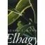 Elhagy - Szabó T. Anna