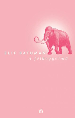 A félkegyelmű (Elif Batuman)