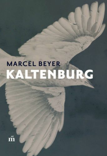 Kaltenburg (Marcel Beyer)