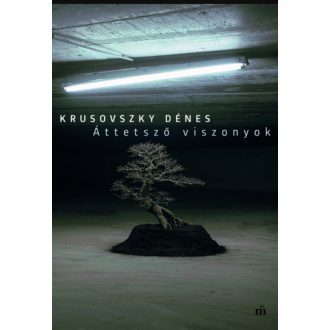 ÁTTETSZŐ VISZONYOK