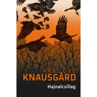   Hajnalcsillag-sorozat 1. - Hajnalcsillag - Karl Ove Knausgard