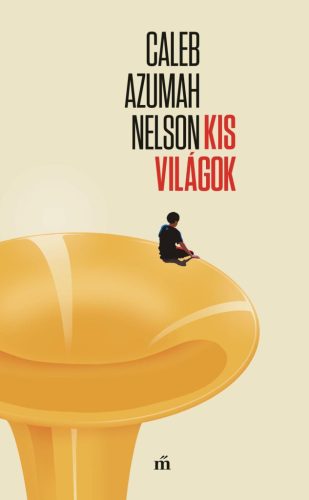 Kis világok - Caleb Azumah Nelson