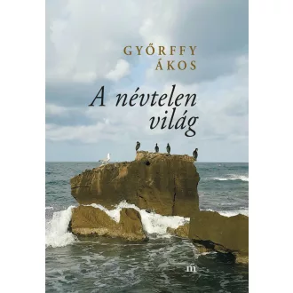 A névtelen világ - Győrffy Ákos 