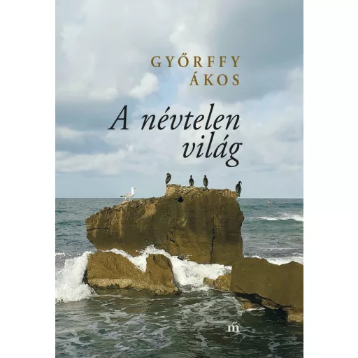 A névtelen világ - Győrffy Ákos 