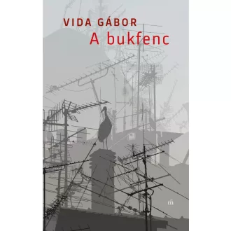 A bukfenc - Vida Gábor