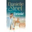 Varázslat (Danielle Steel)