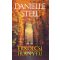 Erkölcsi iránytű - Danielle Steel