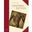 Anatómia-élettan - Donáth Tibor (10. átdolgozott kiadás)